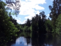 Fischteich auf dem Weg zum Herrman