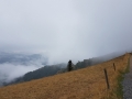 Regenwolke im Anflug