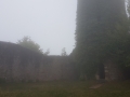20180831_154422