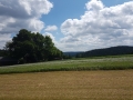 Landschaft I