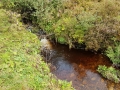 Naturschutzgebiet Langenbachtal